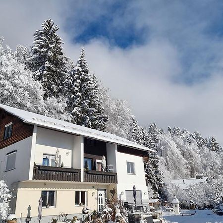 Ferienhaus Burgblick トレフェン エクステリア 写真