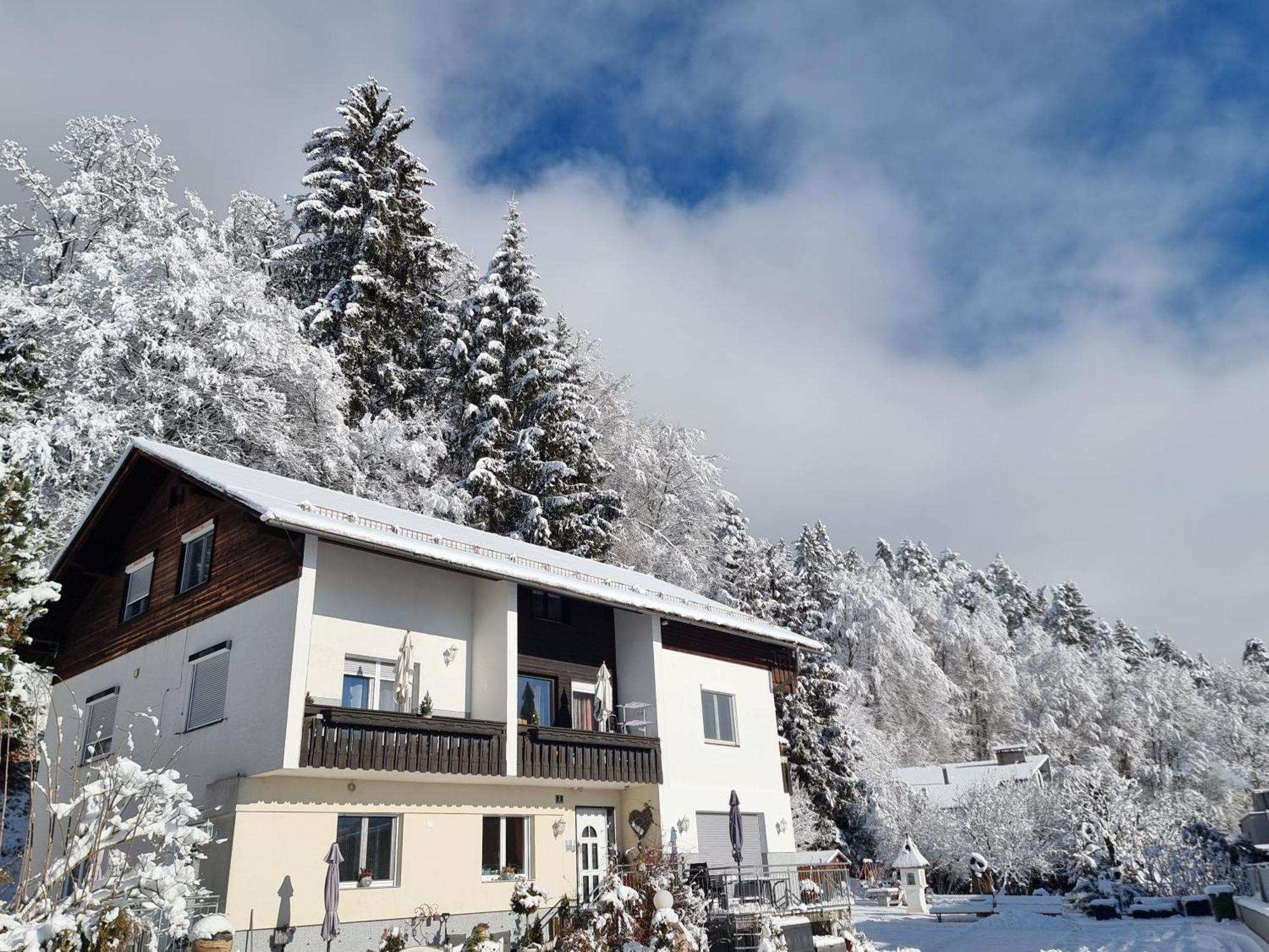 Ferienhaus Burgblick トレフェン エクステリア 写真