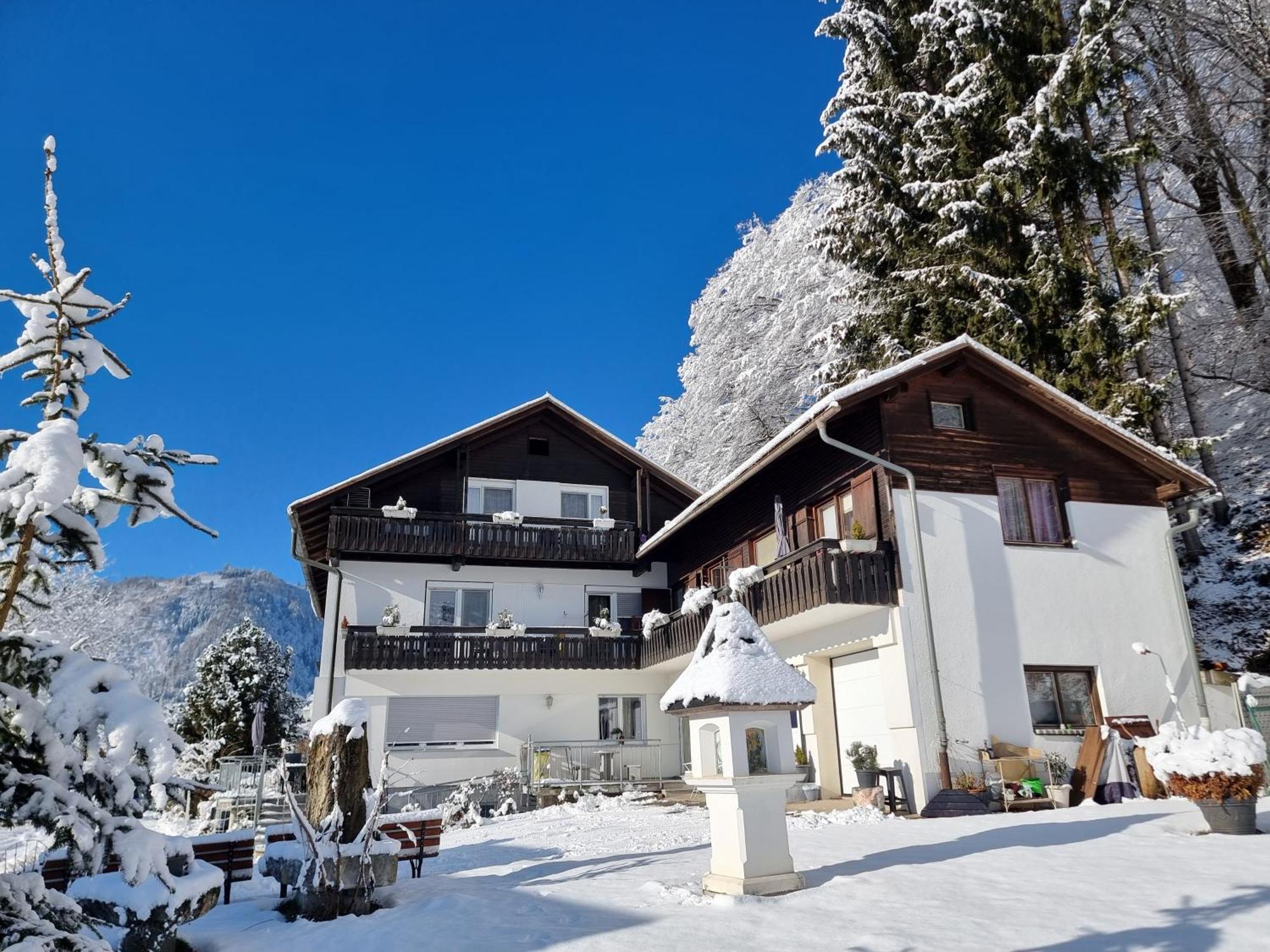 Ferienhaus Burgblick トレフェン エクステリア 写真