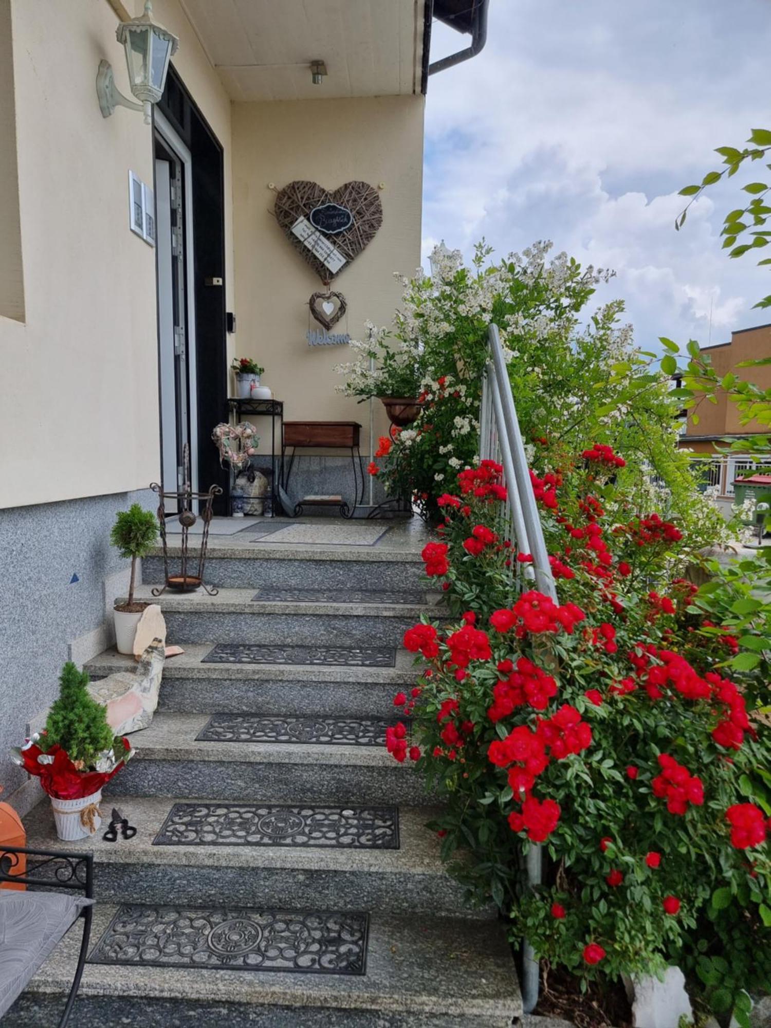 Ferienhaus Burgblick トレフェン エクステリア 写真